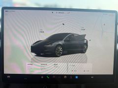 Tesla Model 3 Rear-Wheel Drive - ფოტო 17
