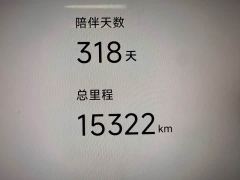 Xpeng X9 Extended Range 1602 Max - photo 13