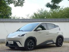 BYD Seagull Glory Edition 405km Flying Edition - ფოტო 1
