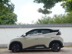 BYD Seagull Glory Edition 405km Flying Edition - ფოტო 11