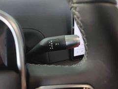 Li Auto L6 Pro - ფოტო 13