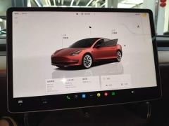 Tesla Model 3 Rear-Wheel Drive - photo 11