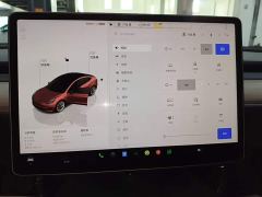 Tesla Model 3 Rear-Wheel Drive - photo 12