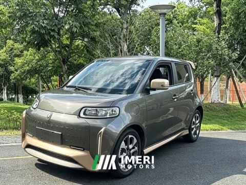 2022 ORA White Cat Little Wildcat 360km Luxury Ternary Lithium - car from China
