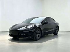 Tesla Model 3 Rear-Wheel Drive - photo 1