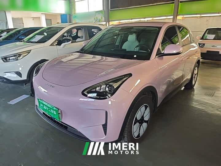 Geely Star Wish 310km Youth Edition