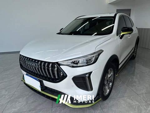 2023 Haval Chitu Jinxiang Edition 1.5T Bronze Rabbit - car from China