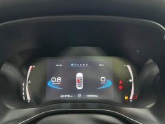 Haval Chitu Jinxiang Edition 1.5T Bronze Rabbit - ფოტო 16