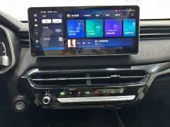 Haval Chitu Jinxiang Edition 1.5T Bronze Rabbit - ფოტო 17