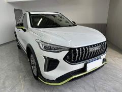 Haval Chitu Jinxiang Edition 1.5T Bronze Rabbit - ფოტო 2