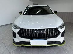 Haval Chitu Jinxiang Edition 1.5T Bronze Rabbit - ფოტო 3