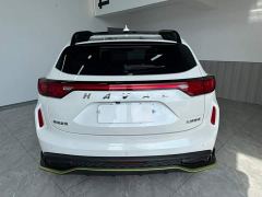 Haval Chitu Jinxiang Edition 1.5T Bronze Rabbit - ფოტო 5