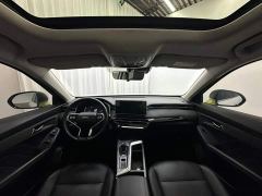 Haval Chitu Jinxiang Edition 1.5T Bronze Rabbit - ფოტო 9