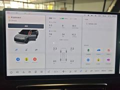 Li Auto L9 Max - ფოტო 11