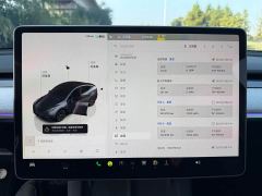 Tesla Model Y Rear-Wheel Drive - ფოტო 10