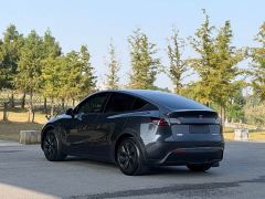 Tesla Model Y Rear-Wheel Drive - ფოტო 17