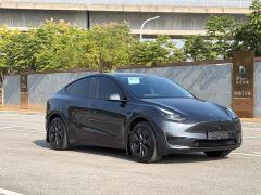 Tesla Model Y Rear-Wheel Drive - ფოტო 3
