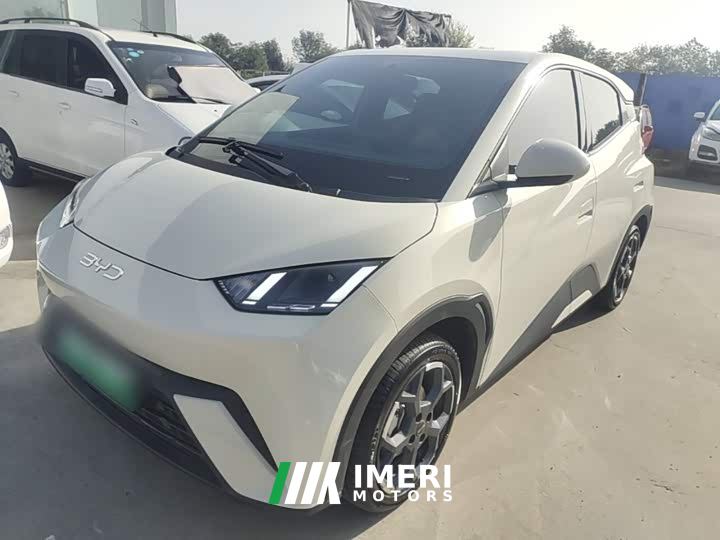 BYD Seagull Glory Edition 405km Flying Edition - ავტომობილი ჩინეთიდან