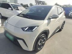 BYD Seagull Glory Edition 405km Flying Edition - ფოტო 1