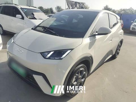 2024 BYD Seagull Glory Edition 405km Flying Edition