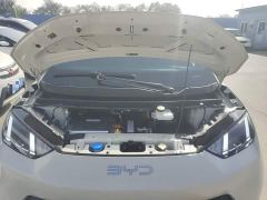 BYD Seagull Glory Edition 405km Flying Edition - ფოტო 19