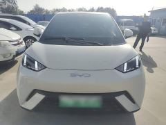BYD Seagull Glory Edition 405km Flying Edition - ფოტო 2