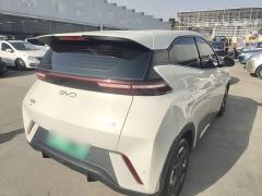 BYD Seagull Glory Edition 405km Flying Edition - ფოტო 6
