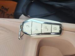 BYD Seagull Glory Edition 405km Flying Edition - ფოტო 8