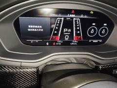 Audi RS 5 RS 5 2.9T Coupe Fuel Performance Edition - ფოტო 16