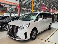 Buick GL8 ES Luxe Comfort - photo 1
