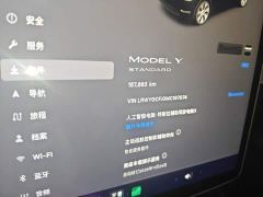 Tesla Model Y Standard Range RWD - фото 13
