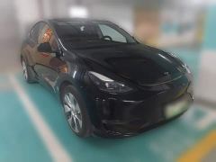 Tesla Model Y Standard Range RWD - фото 3