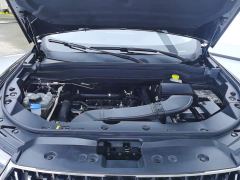 Haval H6 National Trend Edition 1.5T Automatic Champion Version - photo 10