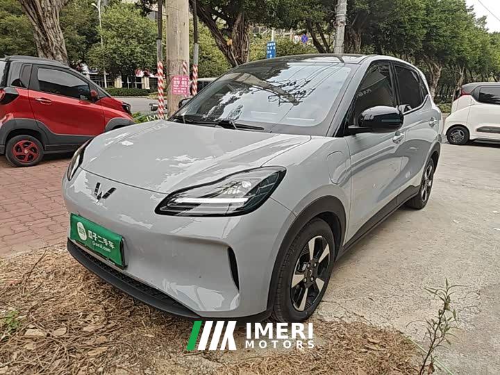Wuling Binguo PLUS 401km 5-Seater - ავტომობილი ჩინეთიდან