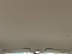 Wuling Binguo PLUS 401km 5-Seater - ფოტო 17