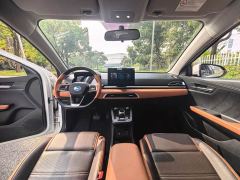 BYD e2 Luxury - ფოტო 9