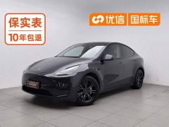 Tesla Model Y Rear-Wheel Drive - фото 1