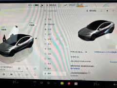 Tesla Model 3 Rear-Wheel Drive - photo 8