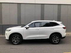 Haval H6 Third Generation 1.5T Automatic Two-Wheel Drive Max - photo 12