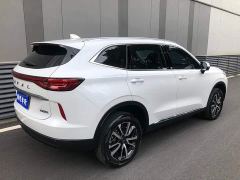 Haval H6 Third Generation 1.5T Automatic Two-Wheel Drive Max - photo 13