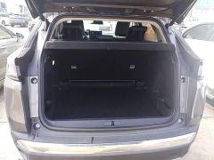 Peugeot 4008 360THP Tech Edition - photo 18