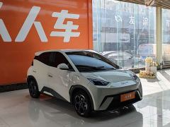 BYD Seagull 305km Freedom Edition - ფოტო 3