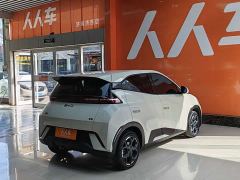 BYD Seagull 305km Freedom Edition - ფოტო 4