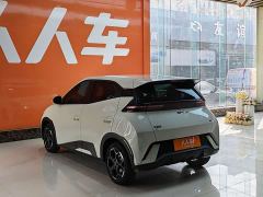 BYD Seagull 305km Freedom Edition - ფოტო 6