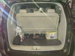 Buick GL8 Land Executive Cabin 652T Luxury - photo 4