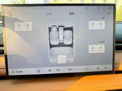 Geely Galaxy Xingyao 8 130km EM-i Premium Edition - photo 14