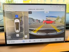 Geely Galaxy Xingyao 8 130km EM-i Premium Edition - photo 15