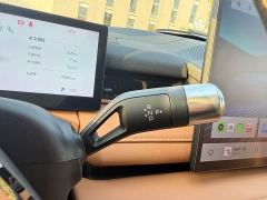 Geely Galaxy Xingyao 8 130km EM-i Premium Edition - photo 19