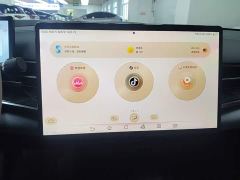 BYD Seal Champion Edition 700km Performance Version - ფოტო 12