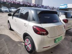 Wuling Binguo 203km Light Enjoy Edition - ფოტო 4